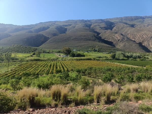 72 ha Agricultural Holding