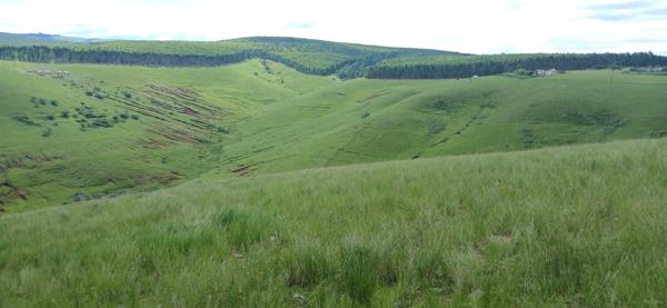 40.5 ha Farm