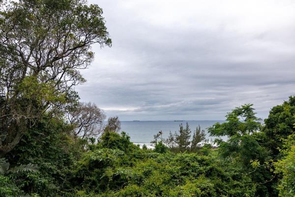 1 007 m² Land