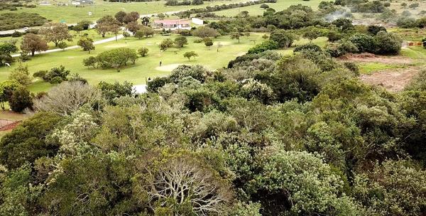 850 m² Land