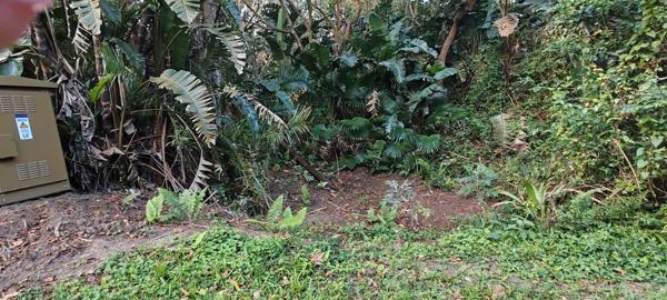 1 033 m² Land