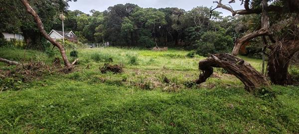 3 008 m² Land