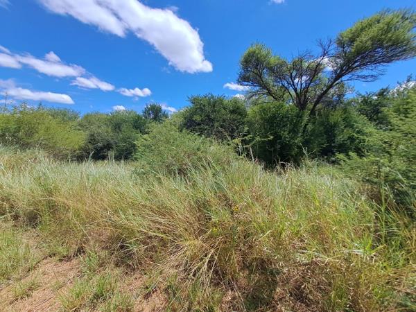 1 036 m² Land