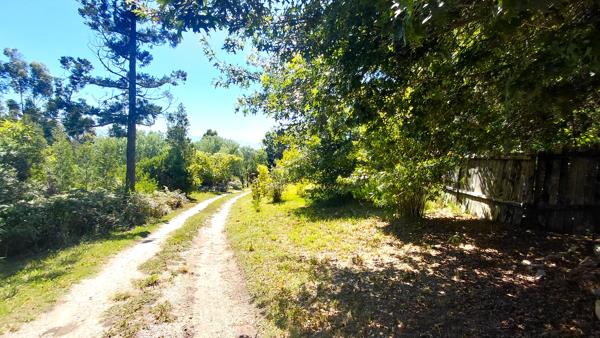 4.7 ha Farm with House