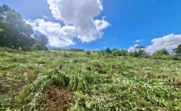 2 293 m² Land
