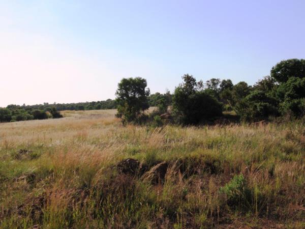 155 ha Commercial Farm