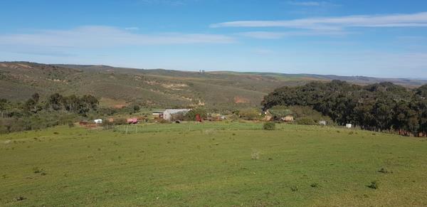 767 ha Farm