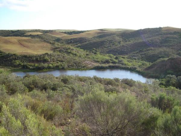 767 ha Farm