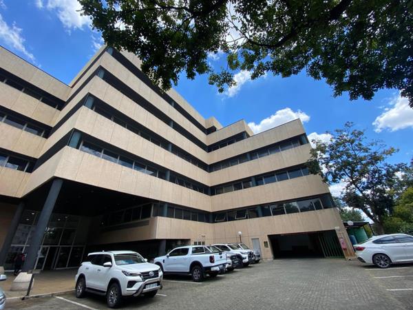 165 m² Office Space