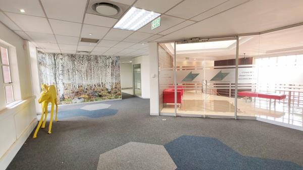 226 m² Office Space