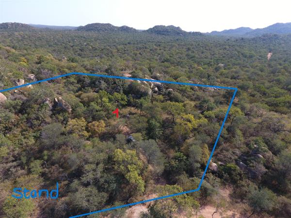 1 ha Land