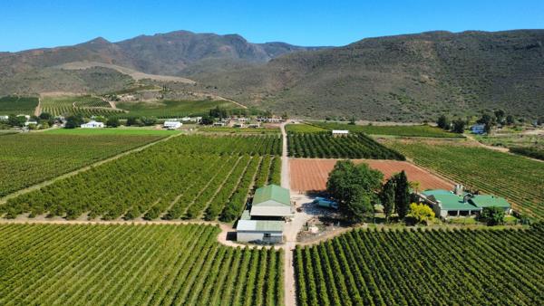 106 ha Commercial Farm