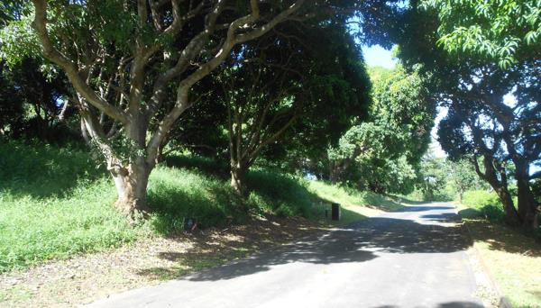 1 113 m² Land