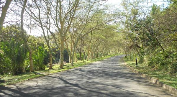 932 m² Land
