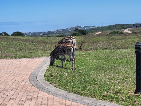 790 m² Land