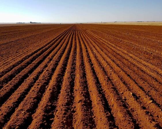 464 ha Farm