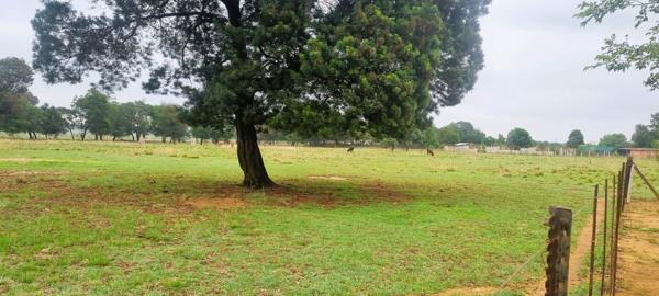 3.8 ha Farm