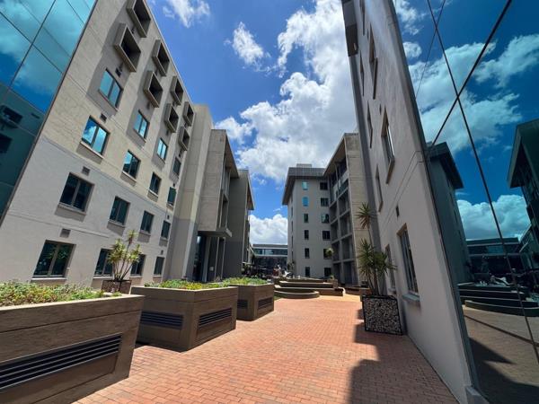 175 m² Office Space