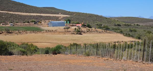 10.6 ha Farm with House