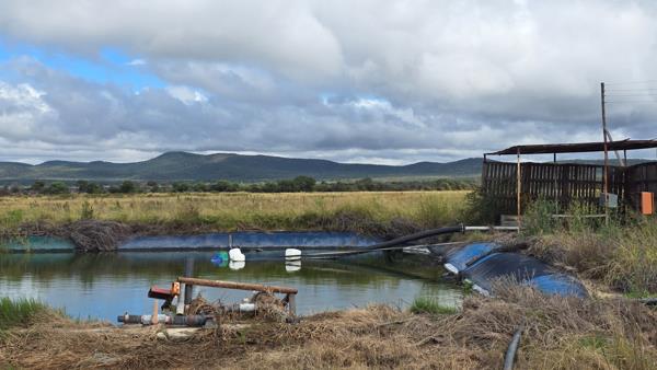 85 ha Farm