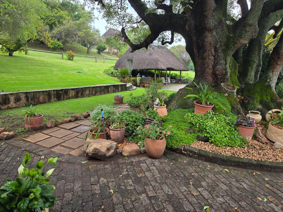 37.4 ha Farm with House