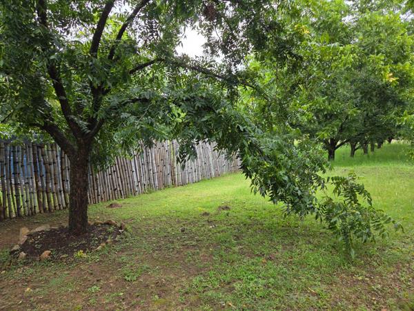 37.4 ha Farm with House