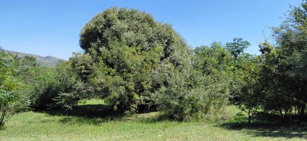 1 146 m² Land