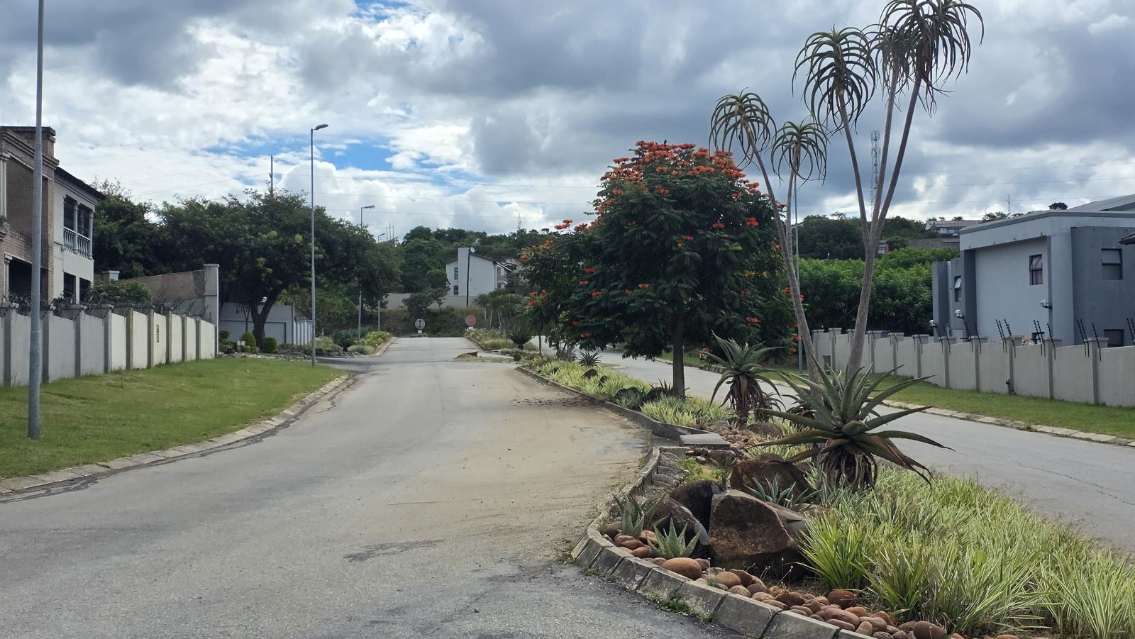 1 576 m² Land - View 4