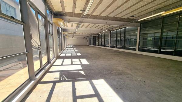 241 m² Office Space