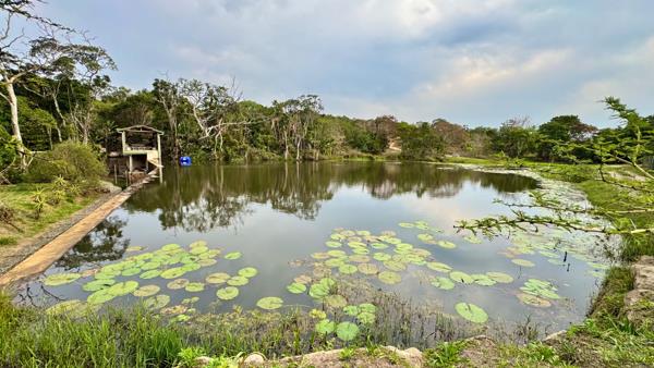 10.1 ha Agricultural Holding