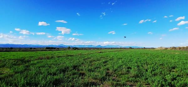 13.2 ha Agricultural Holding