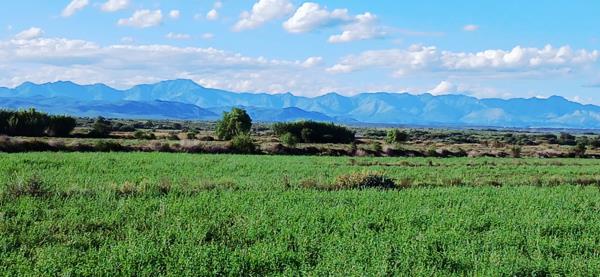 13.2 ha Agricultural Holding