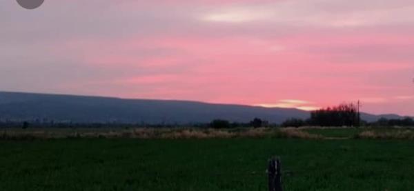 13.2 ha Agricultural Holding