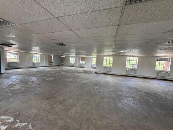 303 m² Office Space