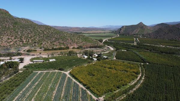 256 ha Farm with House