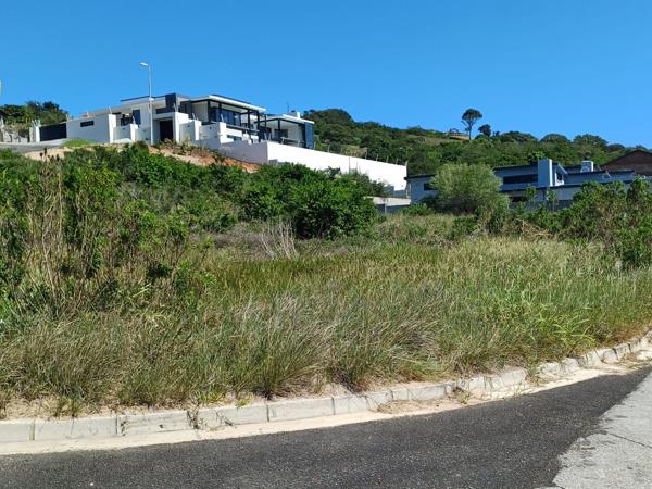 1 319 m² Land