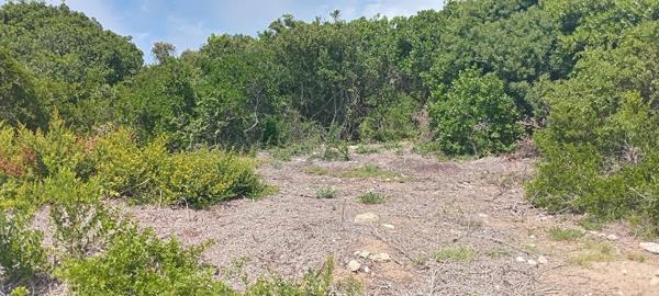 1 243 m² Land