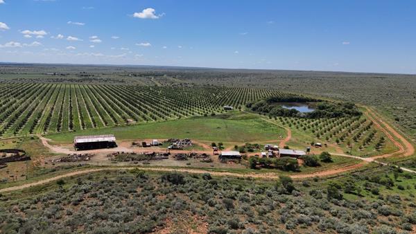 825 ha Farm with House