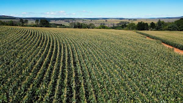 2 455 ha Farm