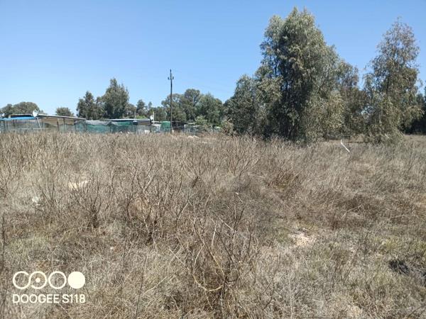 1 010 m² Land