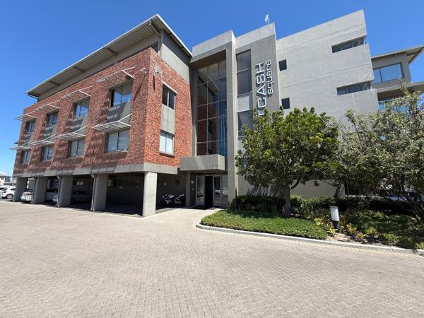 46 m² Commercial space