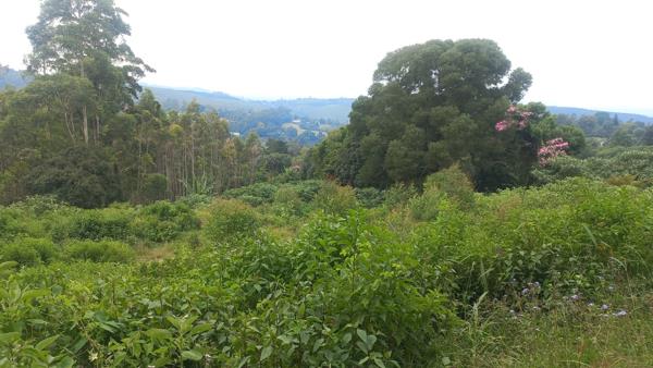 1.1 ha Land