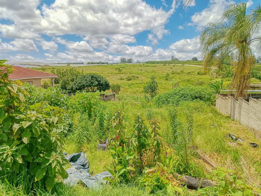 1 006 m² Land