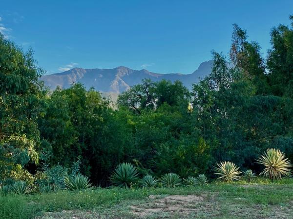 2 238 m² Land