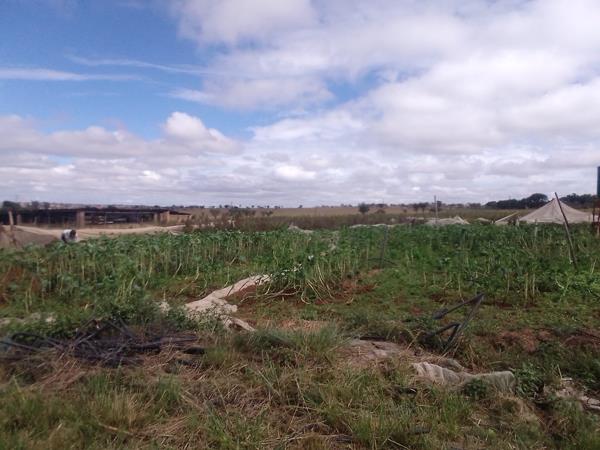 21.4 ha Farm