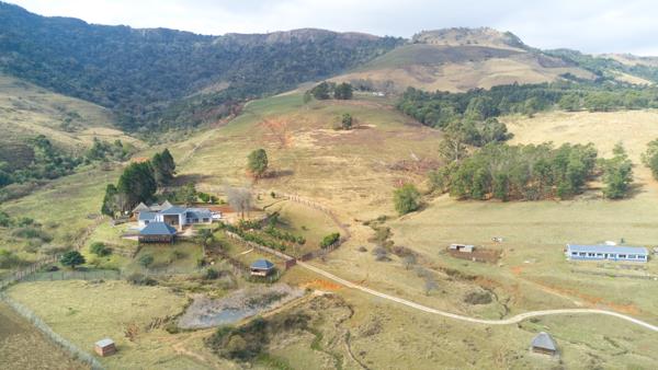 40 ha Farm