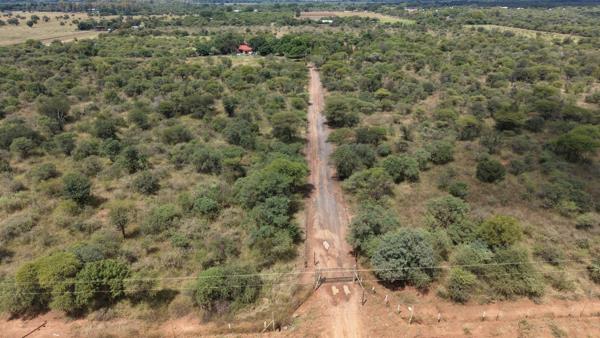 21.4 ha Smallholding