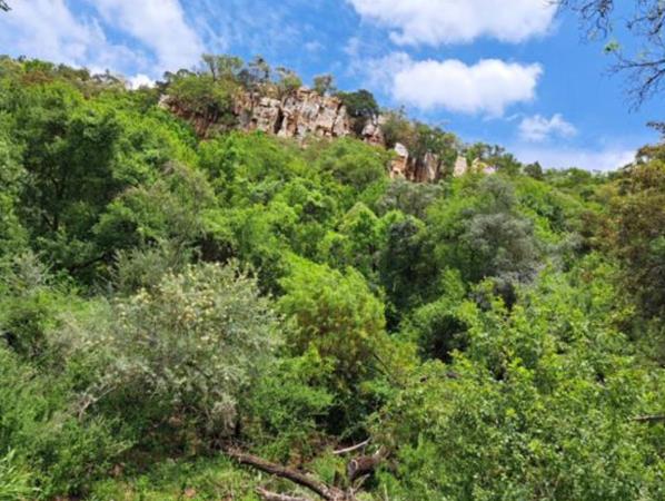 585 ha Farm with House