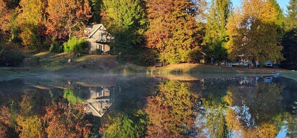 22.5 ha Smallholding