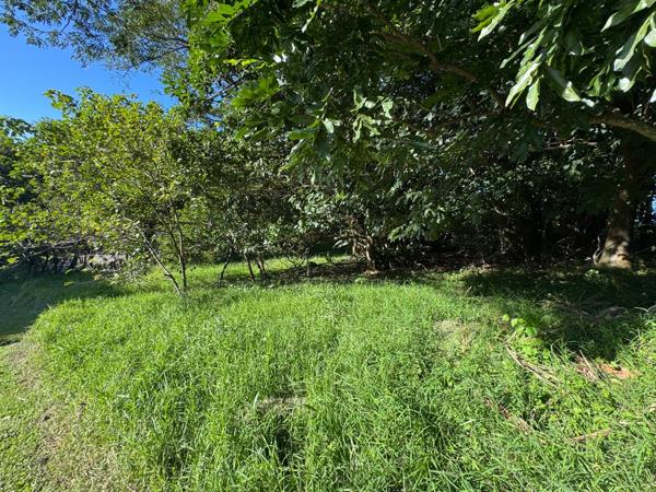 1 048 m² Land